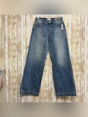 PacSun blue denim low rise fit and baggy wide leg Size 24